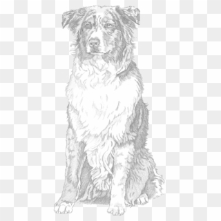 Free Png Download North America Png Images Background - Companion Dog Clipart