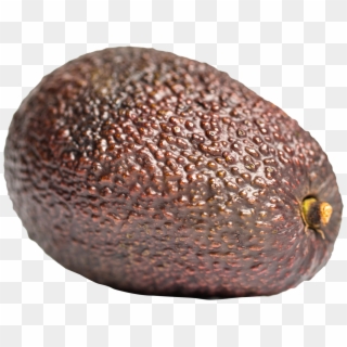 Image - Brown Avocado Png Clipart