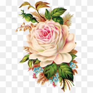 Neste Blog Você Poderá Encontrar Lindas Imagens No - Royalty Free Vintage Flower Clipart