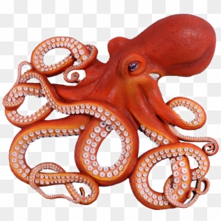 Octopus Png Photo - Octopus Png Clipart