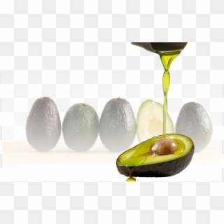 Avocado Oil Organic - Olej Awokado Clipart