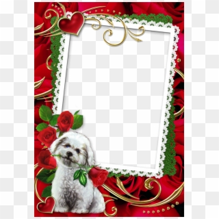 Lace Border Picture Frame With Cute Puppy And Roses - Red Wedding Frames Png Clipart