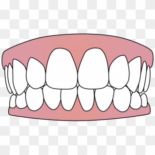 Free Vector Download - Transparent Background Teeth Clipart - Png Download