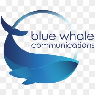 Blue Whale Png Clipart