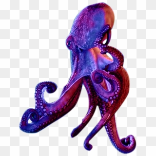 Octopus - Illustration Clipart