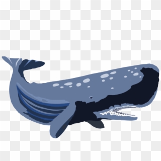 Whale - Blue Whale Clipart