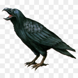 Crow Transparent Background Png - Resident Evil Remake Crow Clipart