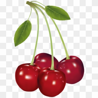 Cherry Fruit Clipart - Png Download