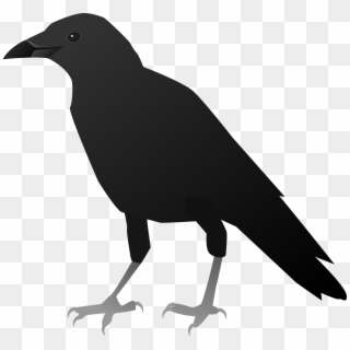 Png Free Stock - Crow Clipart Transparent Png