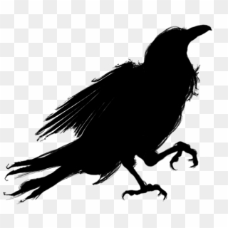 600 X 600 10 - Crow With Transparent Background Clipart