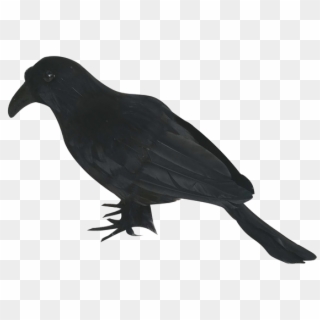 Halloween Crow Png Image - Crow Prop Clipart