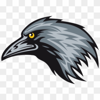 600 X 600 10 - Raven Mascot Clipart