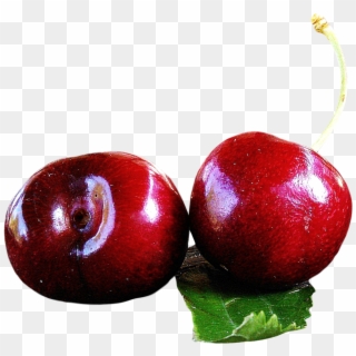 Download Juicy Cherry Png Image - Cherry Clipart
