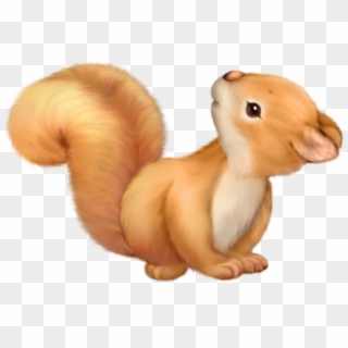 Cute Squirrel Png Clipart