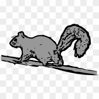 Squirrel Png Clipart
