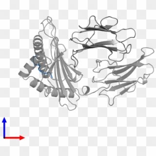 <div Class='caption-body'>pdb Entry 1agd Contains 1 - Illustration Clipart