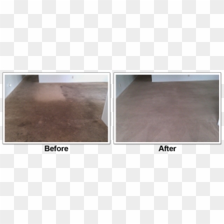 Before And After Carpet Cleaning By Oxi Fresh - Floor Clipart