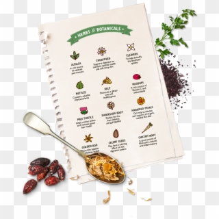 Complement Our Recipes - Flyer Clipart