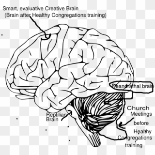 Brain Clip Art - Png Download