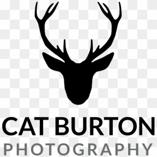 Cropped Logo Catburtonphotography - Antler Clipart