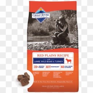 Chocolate Clipart