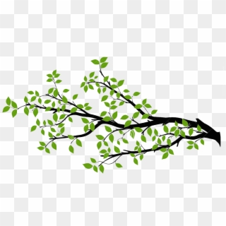 Tree-branch - Tree Limb Branch Silhouette Clipart