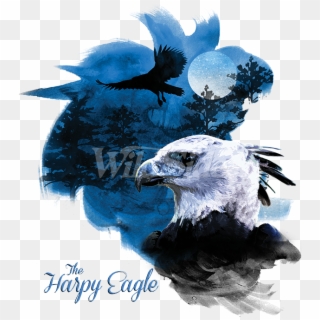 Birds Of Prey Harpy Eagle - Bald Eagle Clipart