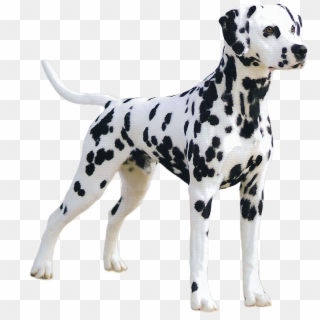 Dalmatian Great Dane , Png Download - Great Dane With No Background Clipart