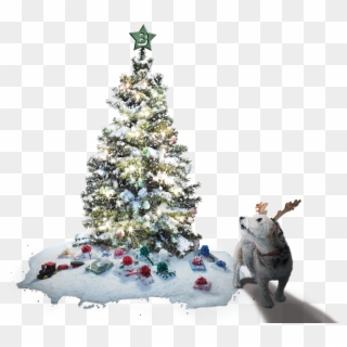 Christmas Tree And Max The Dog - Ensam Julgran Söker Klappar Quality Clipart