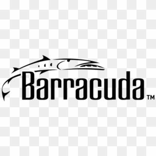 Barracuda Vector Clipart