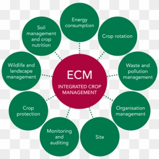 The Role Of Ecm's Agronomists - 10 Principles Of Landscape Approach Clipart