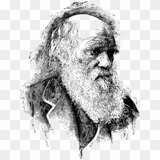 Charles Darwin Portrait2 - Charles Robert Darwin Png Clipart