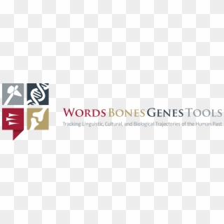 Words, Bones, Genes, Tools - Words Bones Genes Tools Clipart