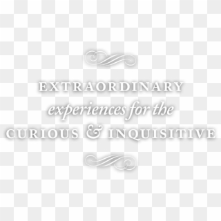 Discover Our Experiences - Calligraphy Clipart
