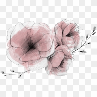La Mujer Y El Retrato - Datura Inoxia Clipart