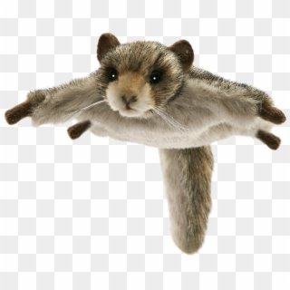 Stuffed Animals Cuddly Toys, Bear, Siberian Flying - Peluche Ecureuil Volant Clipart