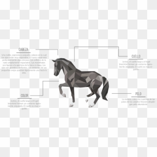 Horse Made In Triangles Clipart