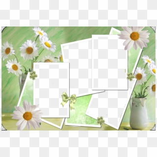 4 Fotos - Daisy Clipart