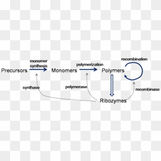 The Rna World Theory For The Origin Of Life Is That - Ribozyme Rna World Clipart
