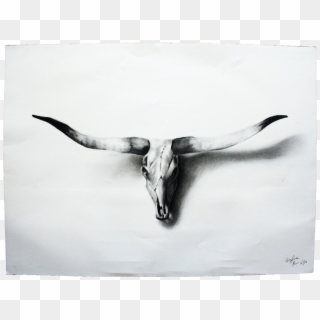 Longhorn Skull Charcoal Drawing Clipart