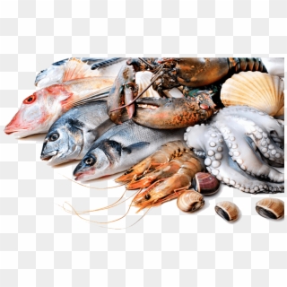Fresh Fish , Png Download - Seafood Png Clipart