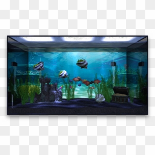 Transparent Fish Fresh Water - Tv In Aquarium Clipart