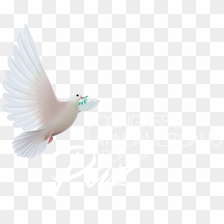 Logo Congreso Por La Paz - Pigeons And Doves Clipart
