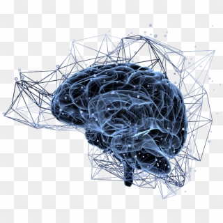 Brain Neural Circuits Clipart