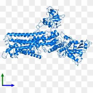 <div Class='caption-body'>pdb Entry 2c9m Contains 1 Clipart