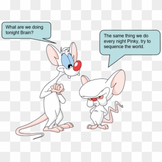 0 Replies 13 Retweets 25 Likes - Pinky And The Brain Words Clipart