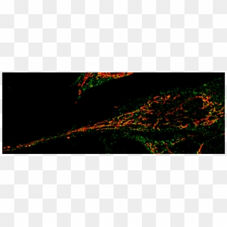 Molecular Cell Biology - Darkness Clipart