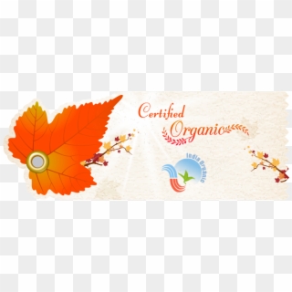 Creative Leaf Tag - Floral Design Clipart