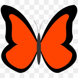 Orange Color Clipart - Blue Butterfly Clipart - Png Download