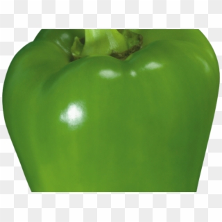 Vegetables Clipart Green Bell Pepper - Green Bell Pepper - Png Download